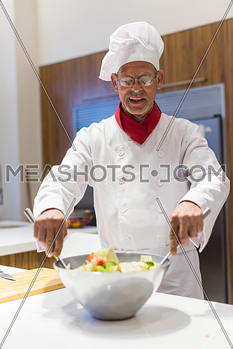 portrait of an elderly middle east cooks in the kitchen preparing salad