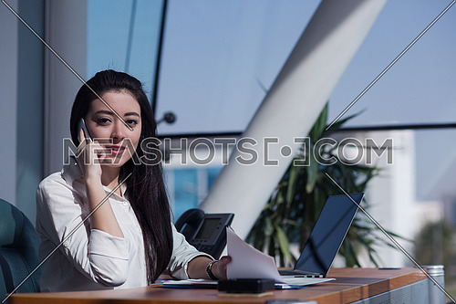 Young female executive having a business call in the office