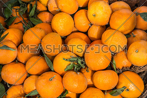 tangerine fruit in a basket