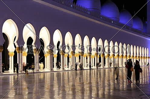 Sheikh Zayed Mosque Timelapse by night