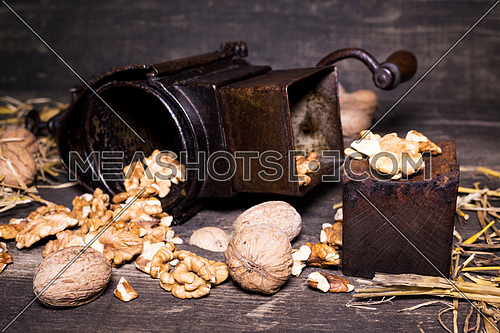 Wallnuts and hand walnuts grinderon a wooden surface