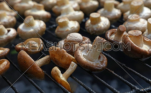 White champignon common mushrooms and black Chinese shiitake mushrooms cooked on char grill, close up, high angle view