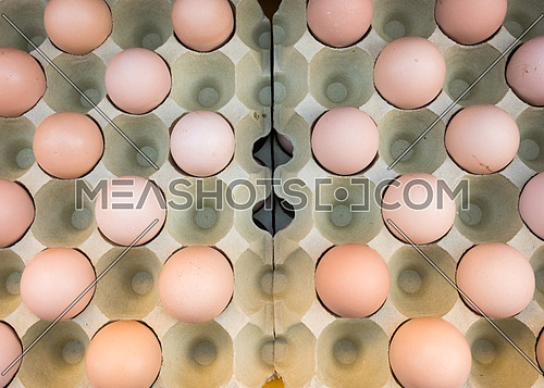 Brown chicken eggs placed in cardboard boxes at the market,view from above,outdoor.