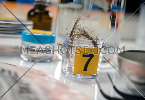 Criminalistic Laboratory, hair analysis, conceptual image