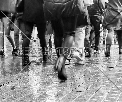 many legs walking during the rain on a wet pavement