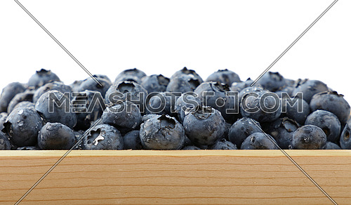 Close up heap of fresh washed blueberry berries in wooden box, wet with water drops isolated on white background, low angle view