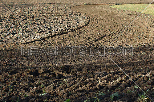 Plowed agricultural field