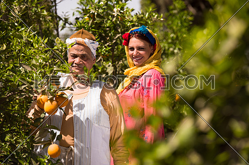 portrait of an elderly middle eastern farmers and young women on the farm orange with a smile on the faces of a sunny summer day