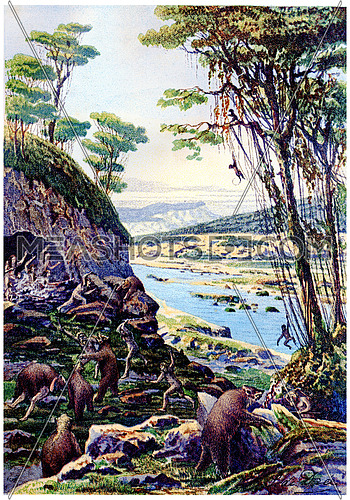 The first age of humanity, Period of the cave bear, vintage engraved illustration. Earth before man â 1886.