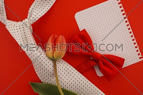 Happy fathers day greeting card concept with a red bow, necktie and colorful orange red spring tulip over a red background and a blank page of notepaper for your greeting