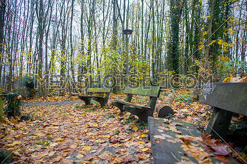 Long shot for Park de la Dodaine, Nivelles, Belgium showing wooden seatings.