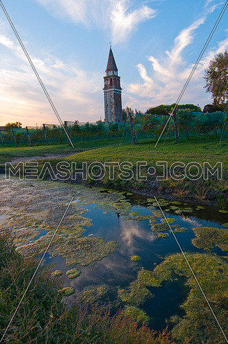 Venice Burano Mazorbo vineyard with "campanile" belltower of Saint Caterina on background