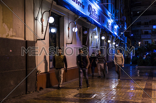 Long shot for pedestrian Walkway  at Alexandria at night