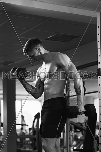 Young Man Working Out Biceps In A Gym - Dumbbell Concentration Curls