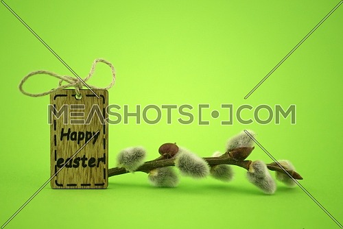 Spring Easter holiday greeting card background with free copy space for text