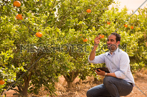 Portrait of a young middle eastern man on the farm tangerine with a smile on his face