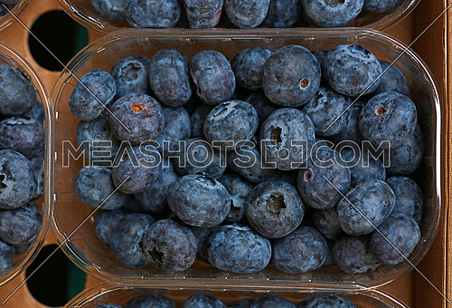 Close up fresh blueberry berries in plastic container on retail display of farmers market, elevated top view, directly above