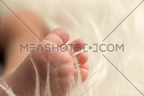 newborn bare foot surrounded by white fur