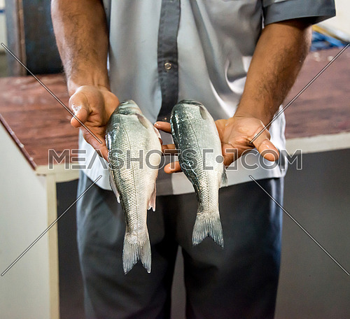 fisher man showing to fish to the camera in Fish Market In Dubai