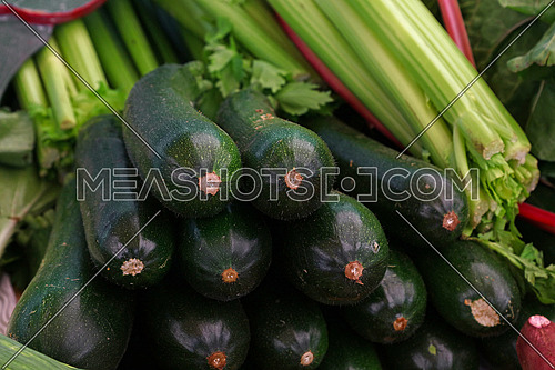 Close up fresh new green zucchini on retail display of farmers market, high angle view