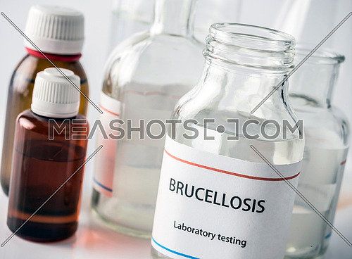 Test brucellosis in laboratory, conceptual image, composition horizontal