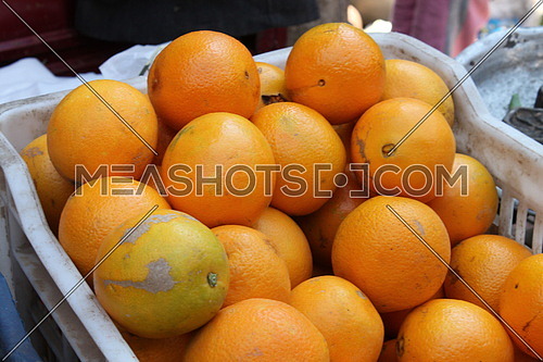 photo for orange fruit for sale in the market in an Egyptian village