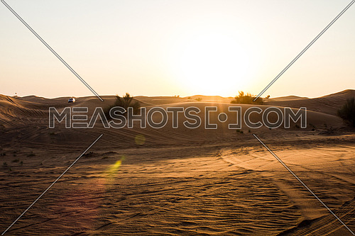 desert landscape and dunes