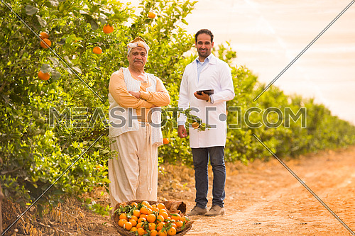 portrait of an elderly middle eastern farmers and young man on a farm tangerine with a smile on their faces