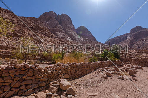 long shot for Sinai Mountain from Wadi Freij by day.