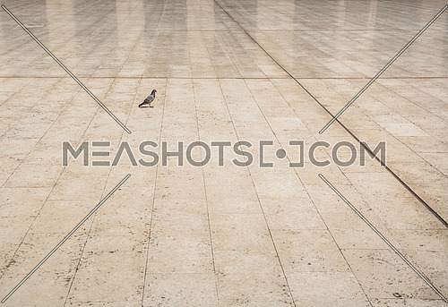 ELHakem Mosque marble floor