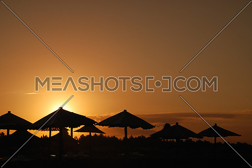 sunshine on beach with beach umbrellas silhouette
