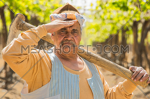 an egyptian farmer holding axe and walking in the field