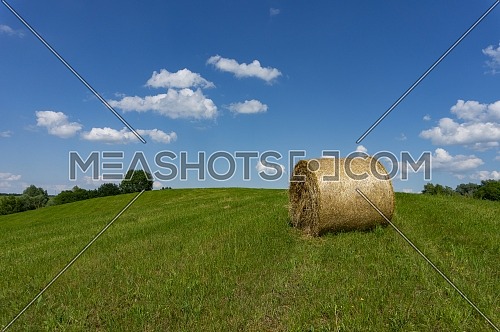 Freshly harvested circular hay bale in a field or pasture in summer in a low angle view under a cloudy blue sky in an agricultural landscape