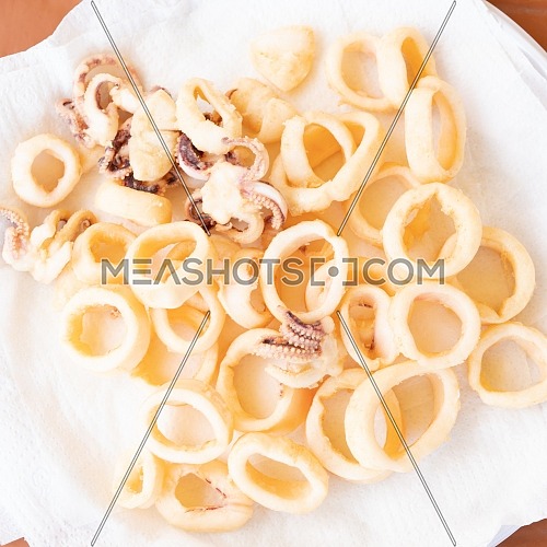 fried squids or octopus (calamari) isolated on white background