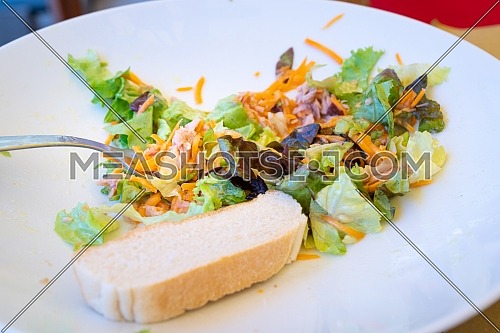 Mixed salad plate with tuna and slice of bread, served at the table with white plate and fork, natural light.