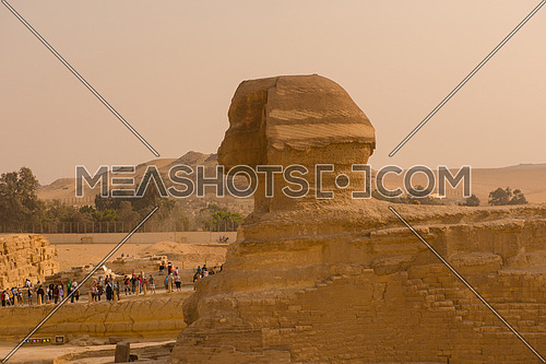 beautiful profile of the great sphinx including pyramids of menkaure and khafre in the background