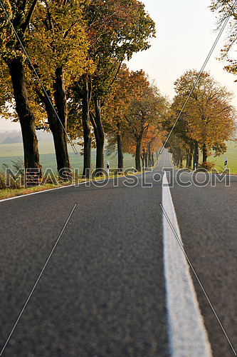 country road at autumn season with bright orange colors at morning sunrise