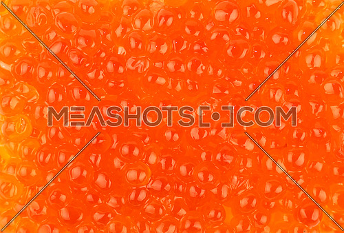Background pattern of salmon fish red caviar close up, elevated top view, directly above