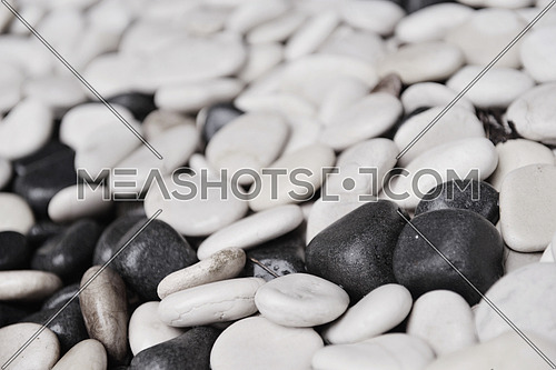 white and grey stones on the ground on a tropical beach