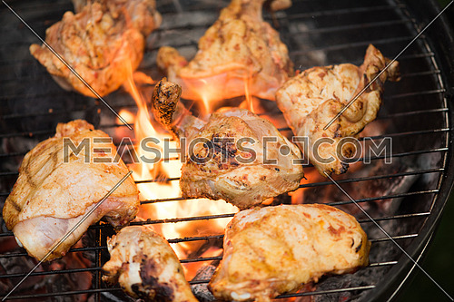 tasty chicken on the grill