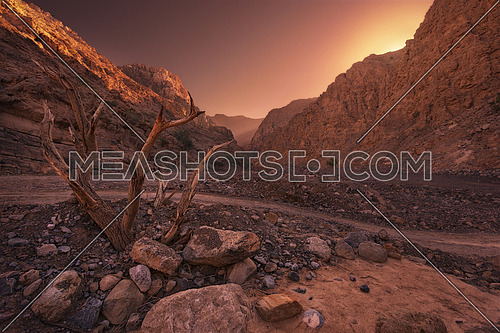 Canyon surrounded by Mountains in a beautiful sunrise with sun reflection on the left mountain, and a dead tree branch in Jais mountain valley 