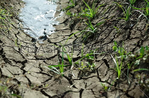 Close shot for water move into soil