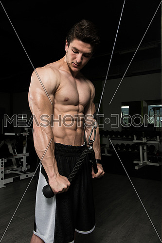 Young Muscular Fitness Bodybuilder Doing Heavy Weight Exercise For Triceps On Machine In The Gym