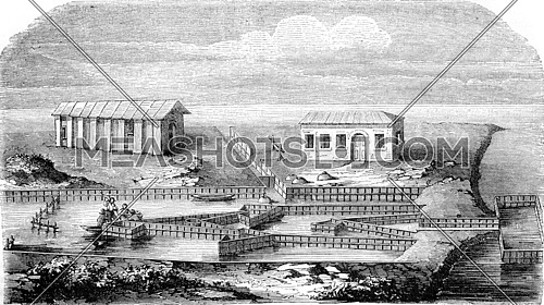 Lavoriero craft to take eels in the lagoon of Comacchio, vintage engraved illustration. Magasin Pittoresque 1844.