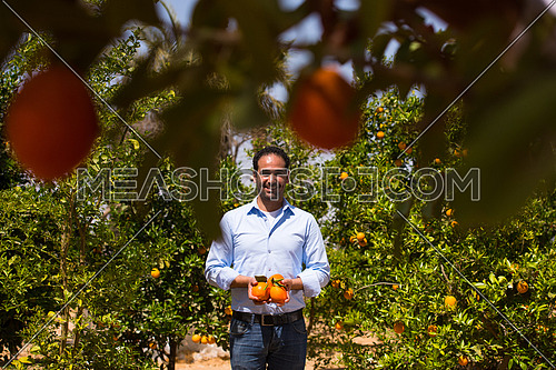 Portrait of a young middle eastern man on the farm of orange with a smile on his face on a sunny summer day