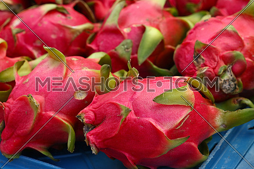 Close up several red ripe pitaya or white pitahaya dragon fruit on market stall, high angle view