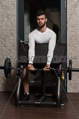 Young Handsome Man Exercise Biceps With Barbell