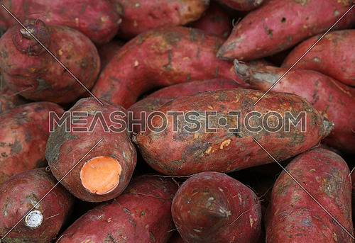 Fresh raw red sweet potato (Ipomoea batatas) roots on retail market