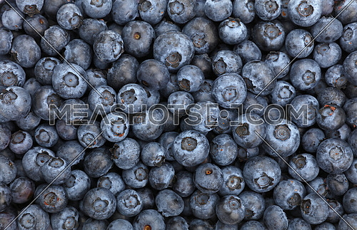 Fresh blueberry berries background pattern close up, top view