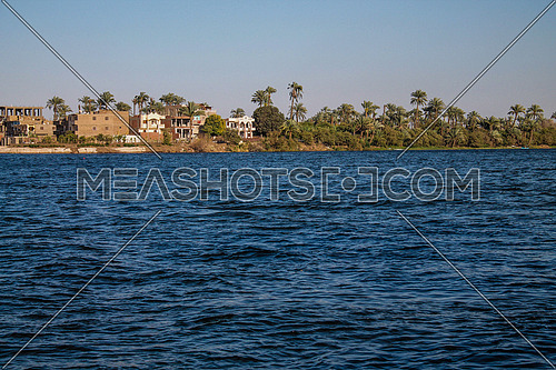 a photo for river Nile from one of upper Egypt Cities showing the other bank,  palm trees and cultivated areas